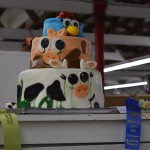 Central Wisconsin State Fair cake decoration baking 4h