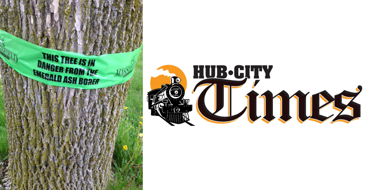 Last year the city — in concert with several community groups — placed green ribbons on ash trees to raise awareness of emerald ash borer.