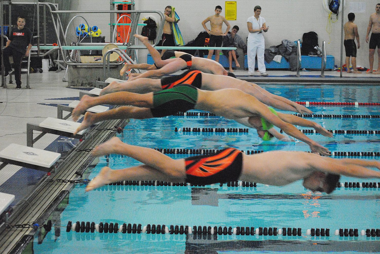 Swimmers from Marshfield and D.C. Everest dive off the starting blocks for the start of the 100-yard freestyle during Tuesday's dual meet at Marshfield High School.
