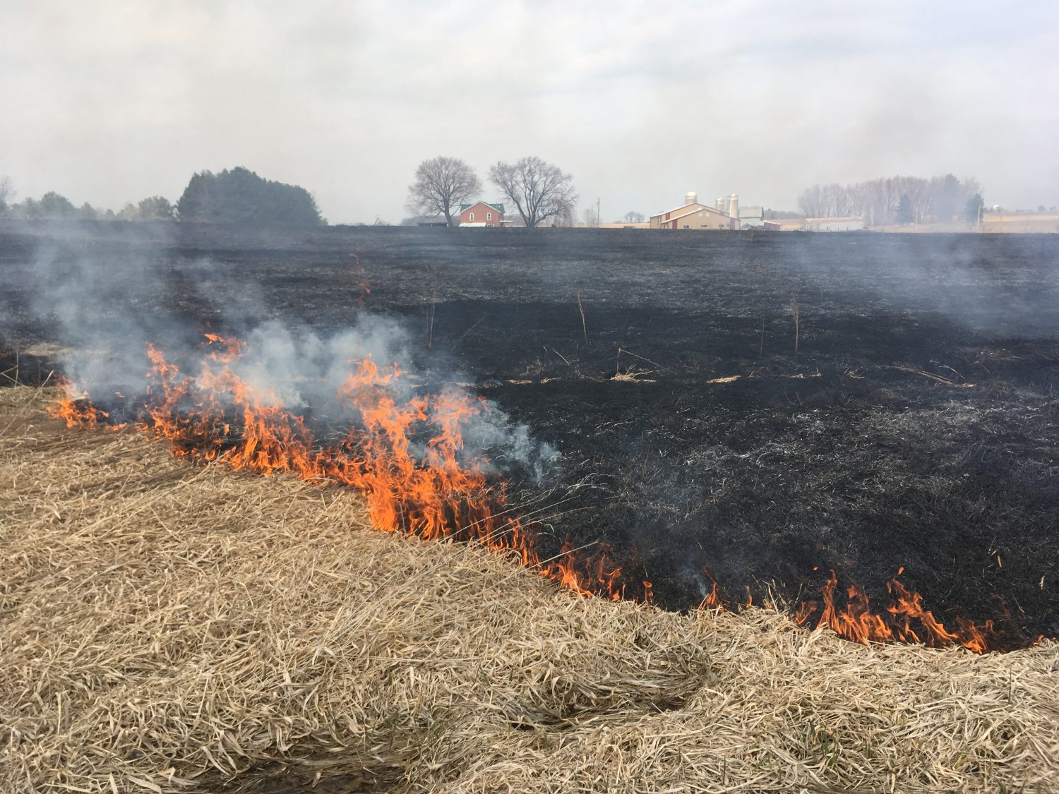 Ben Gruber performed a controlled burn at his farm, also known as Bear Creek Ranch, on April 8-9.