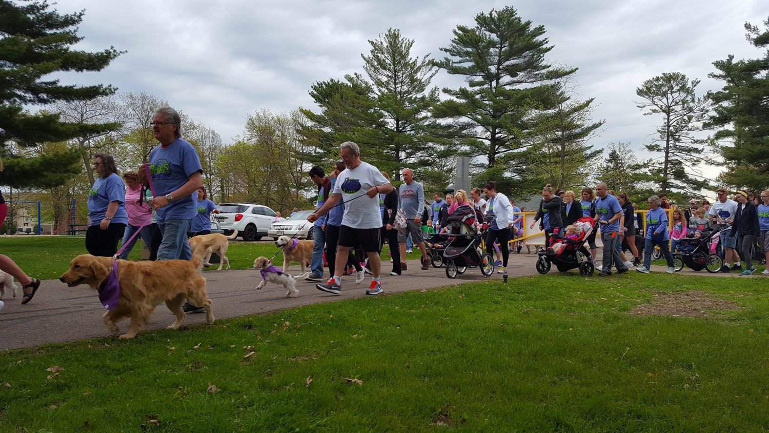The 2017 Paws for Brittany run/walk raised $9,000 for Marshfield Area Pet Shelter.