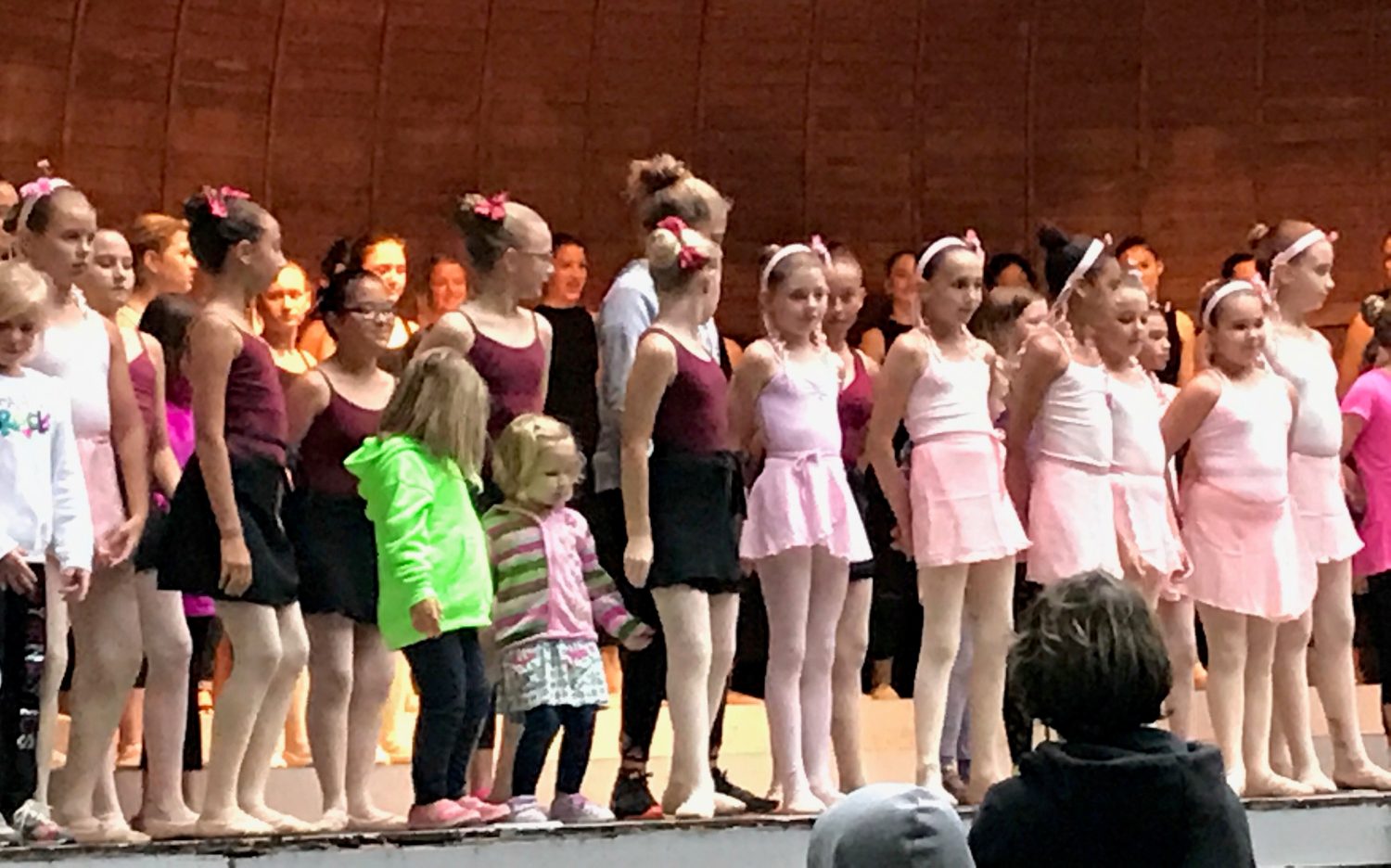 This year’s Ballet in the Park featured students from the Conservatory’s Classical Ballet Program Summer Intensive and the Marshfield Youth Ballet Company.