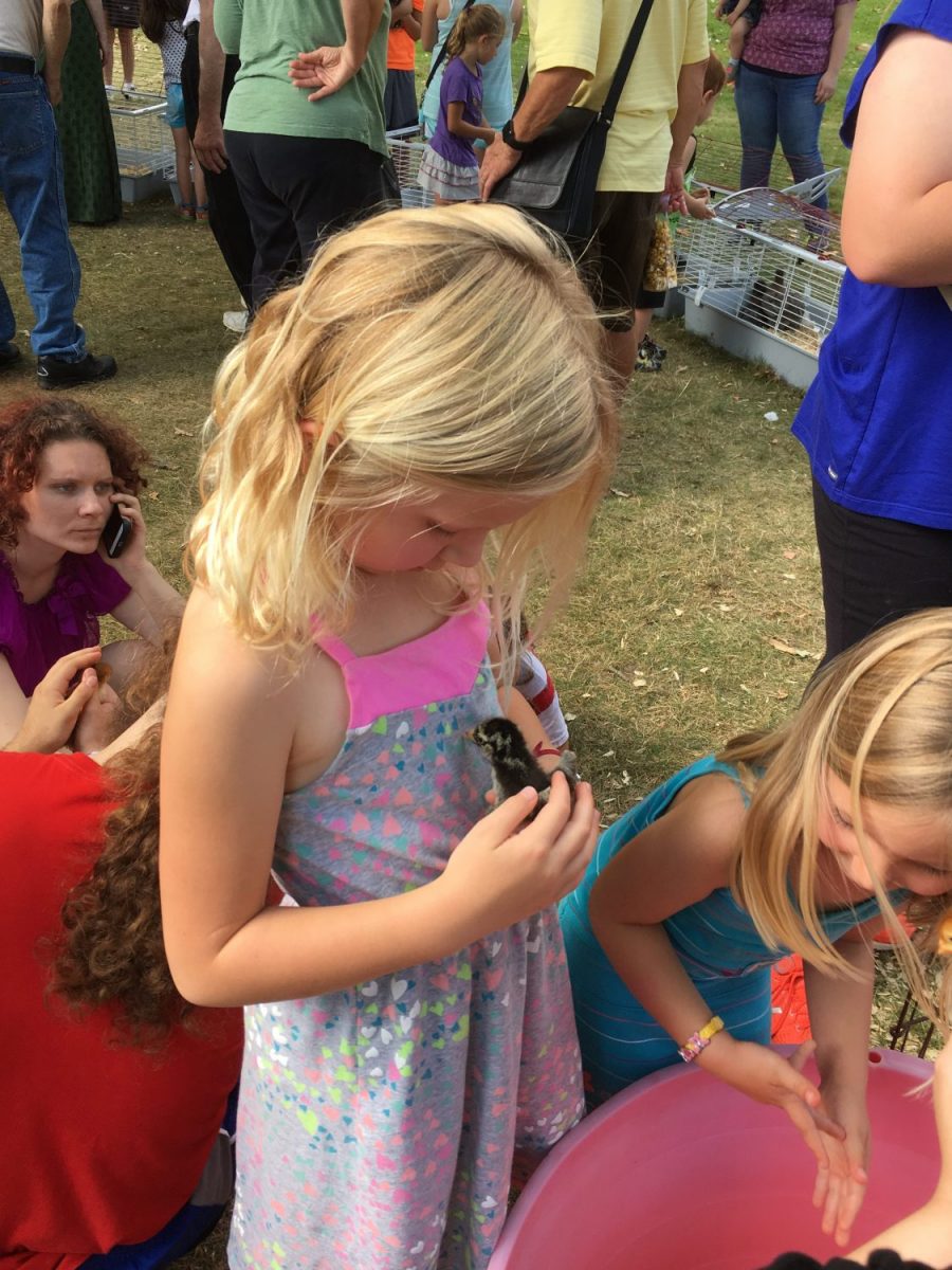 The Kraft’s Kuddly Kritters traveling petting zoo provided a variety of furry creatures for a hands-on experience.