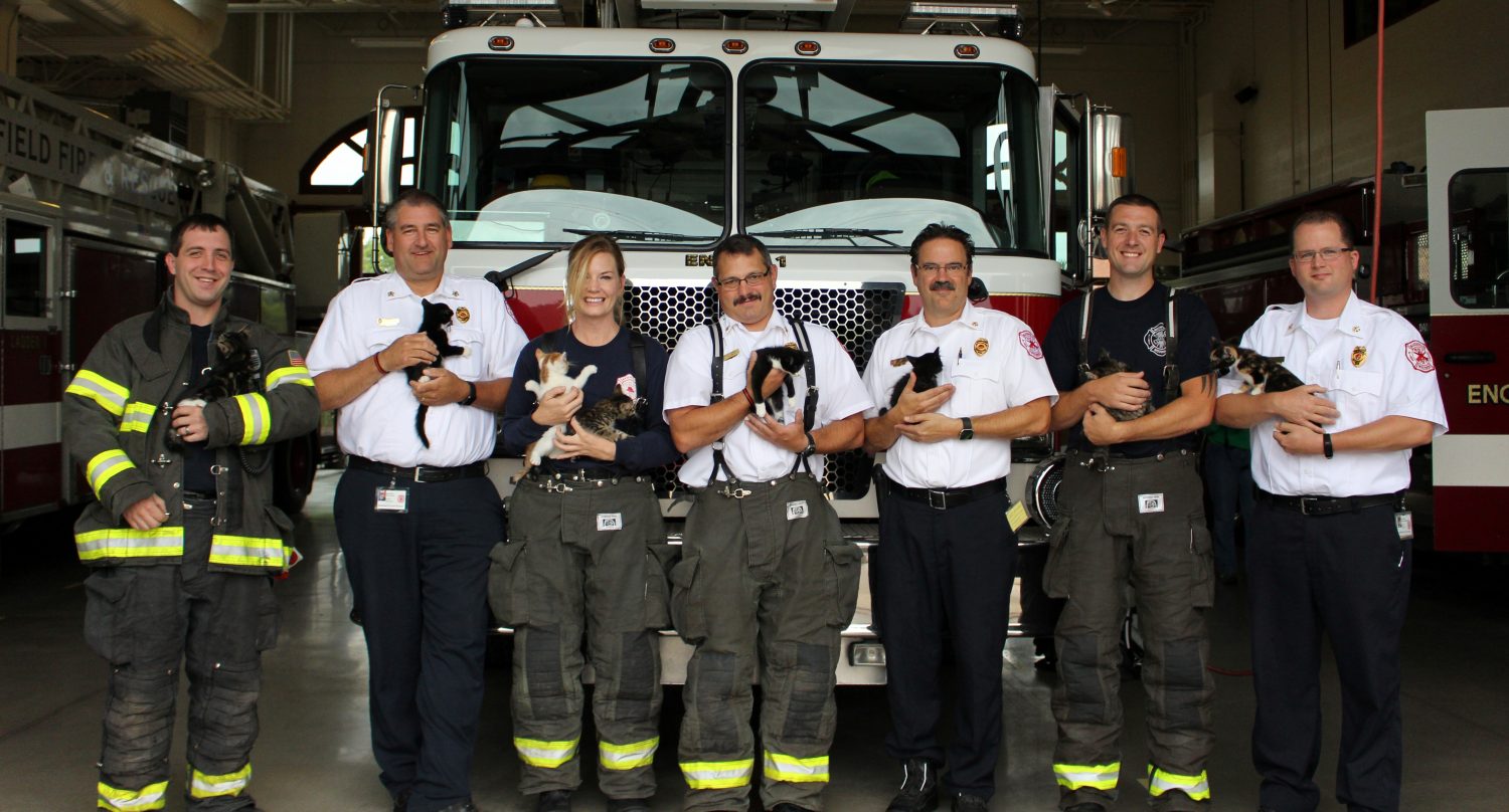 Marshfield Fire and Rescue Department staff poses with adoptable kittens.