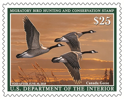 The 2017-2018 Migratory Bird Hunting and Conservation Stamp.