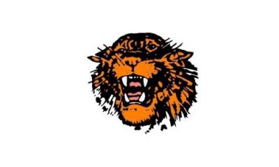 Stratford Tigers Mascot