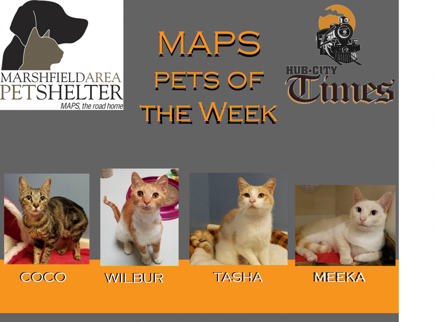 MAPS Pet of the Week 070119