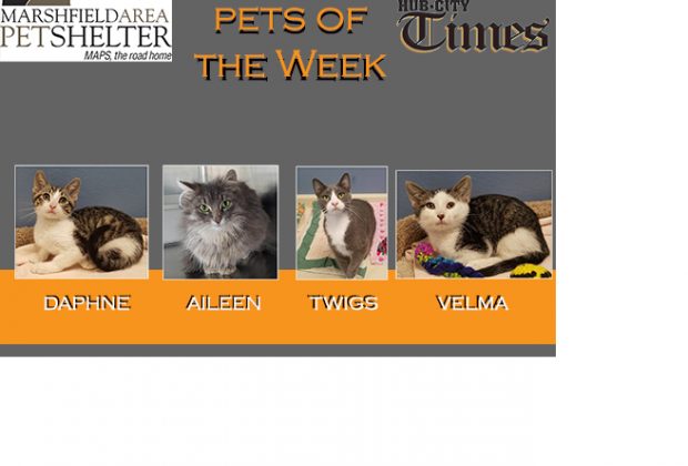 MAPS Pet of the Week 070819